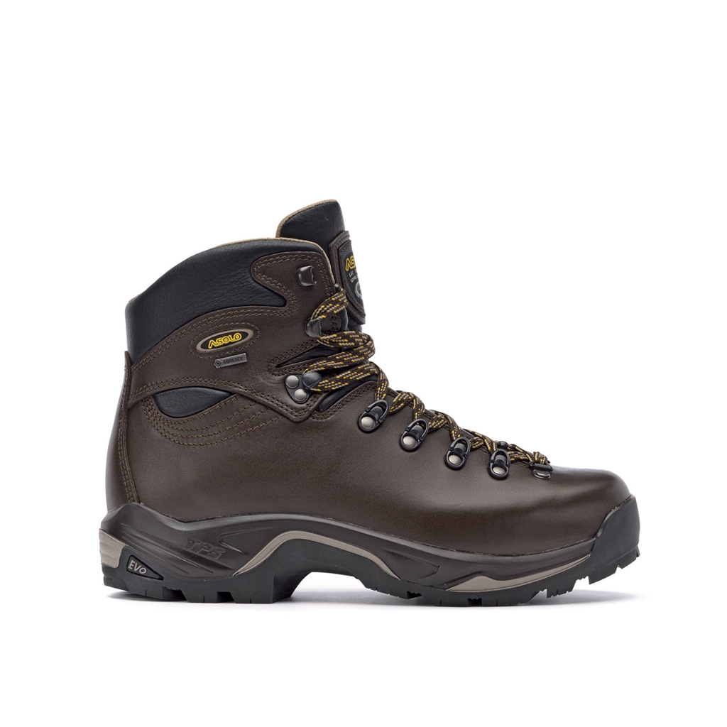 Botas Montaña Asolo TPS 520 GV Evo Hombre Marrones | A55613